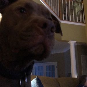 Meet your Posher, Ben